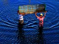 1126 - catching fish 6 - PHAM BA THINH - vietnam